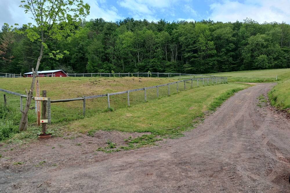 Photo of Outdoor in Bloomville