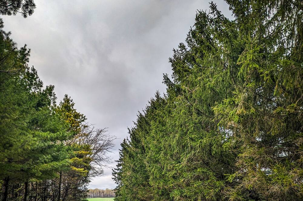 Photo of Outdoor in Howick