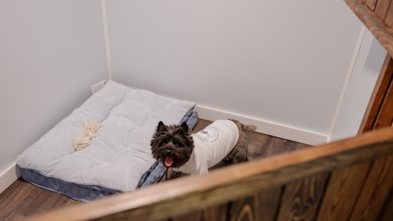 Photo of Bedroom in Madison