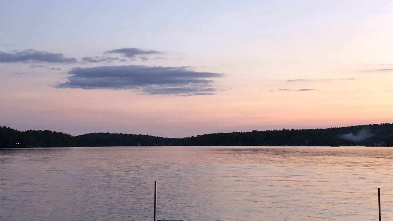 Photo of Others in Rindge