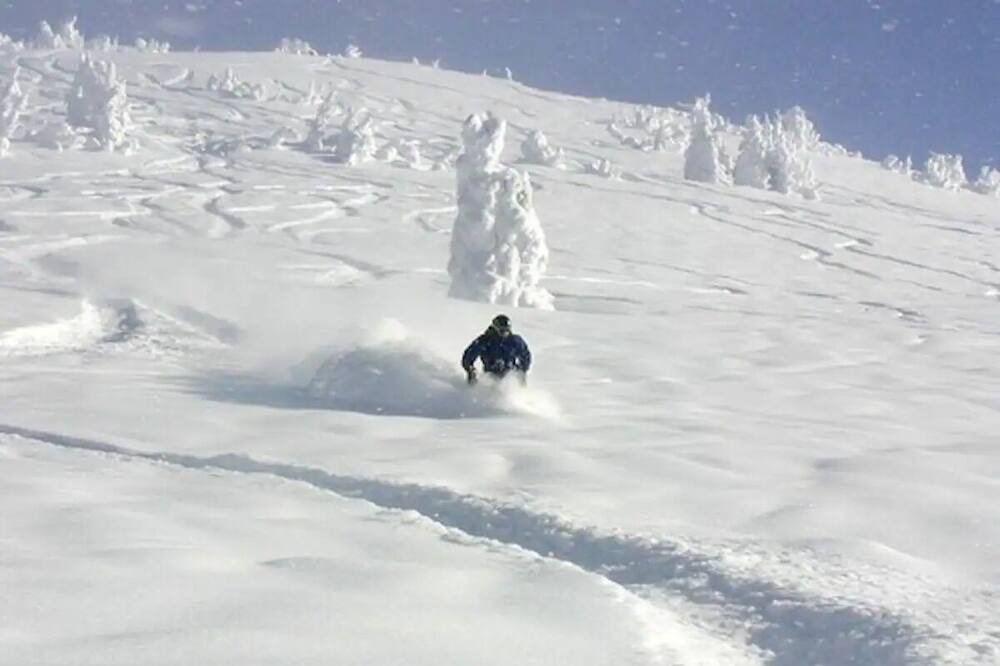 Photo of Others in Alta