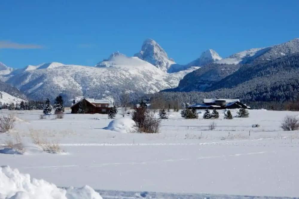 Photo of Others in Alta