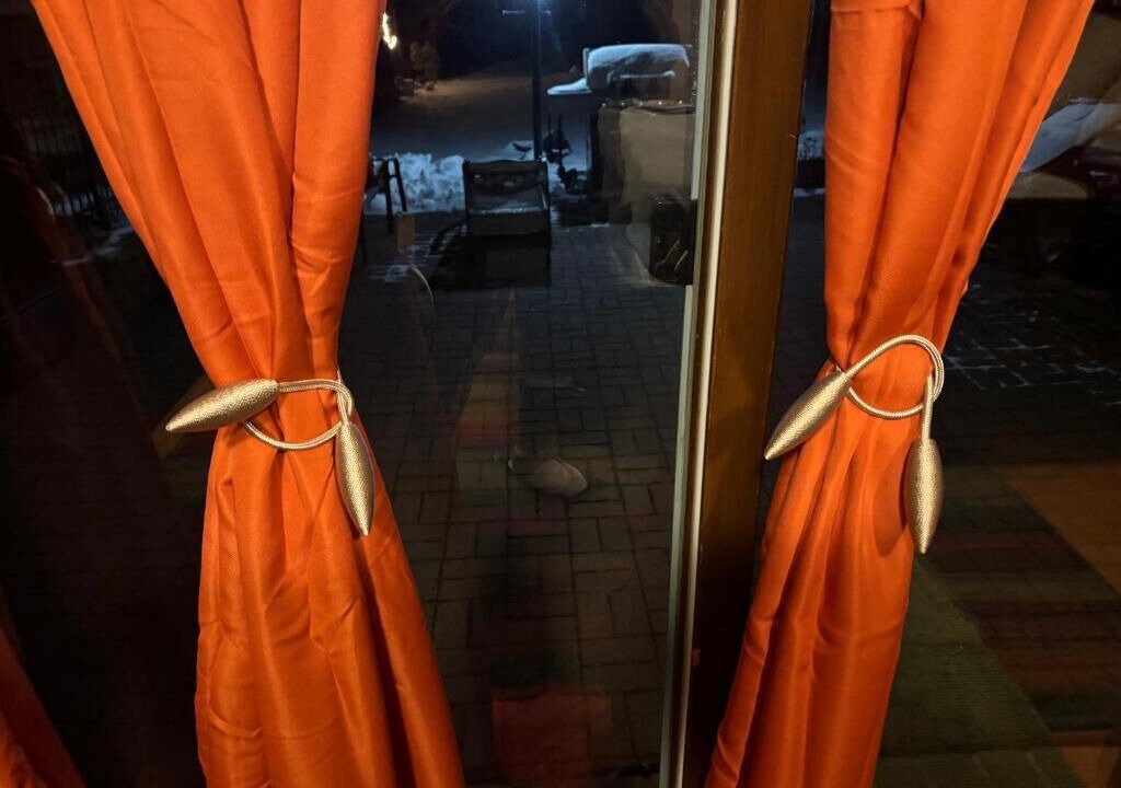 Photo of Outdoor in Hamden