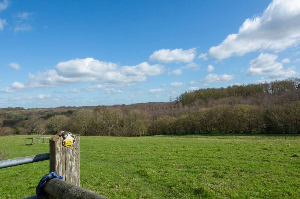 Photo of Others in Mayfield