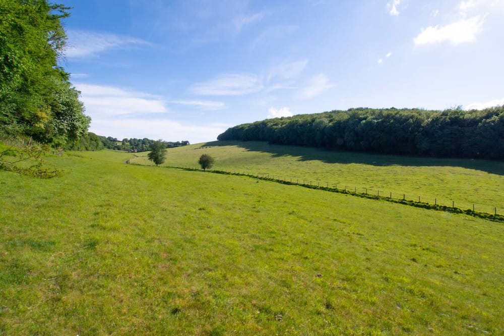 Photo of Outdoor in Denton