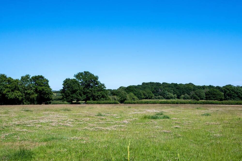 Photo of Outdoor in Wisborough Green