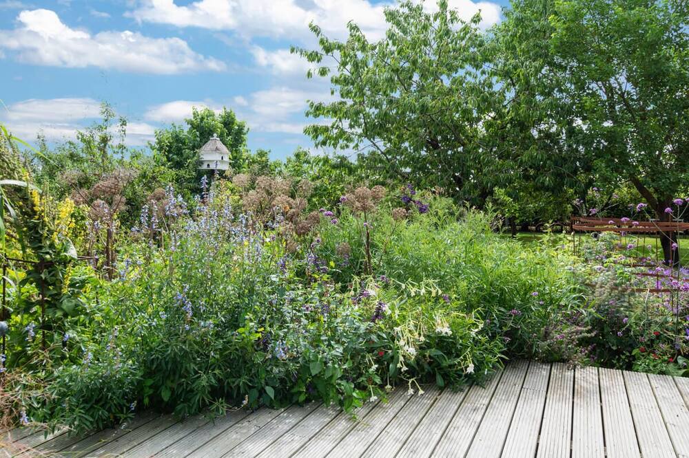 Photo of Outdoor in St Mary's Bay