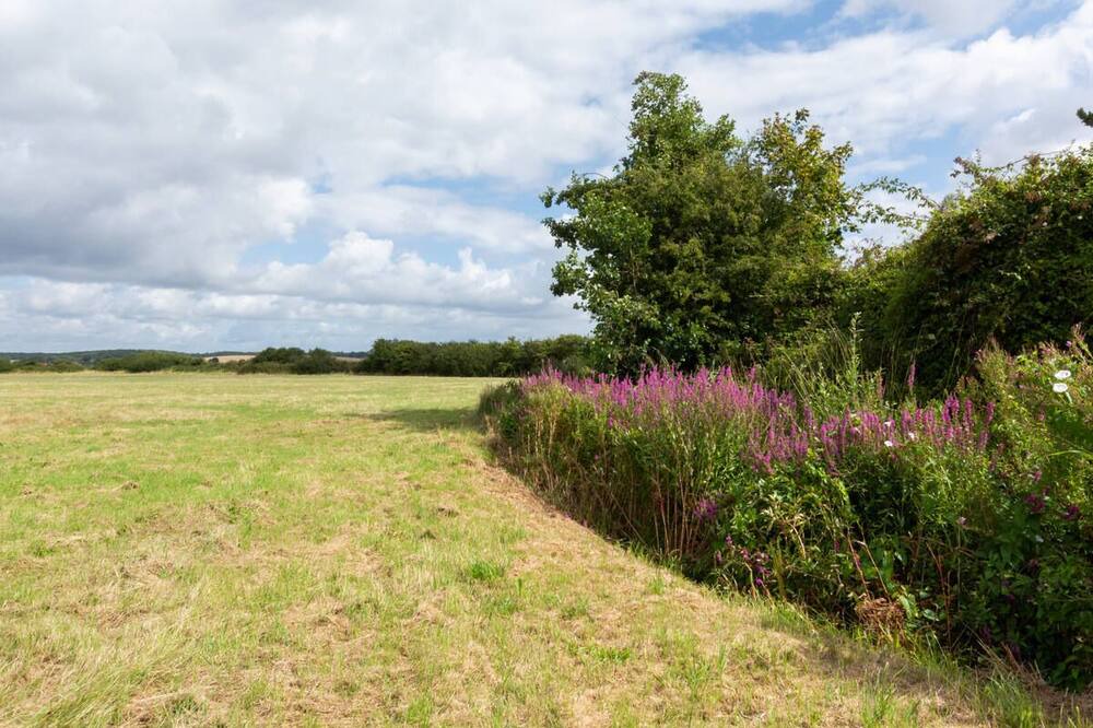 Photo of Others in St Mary's Bay