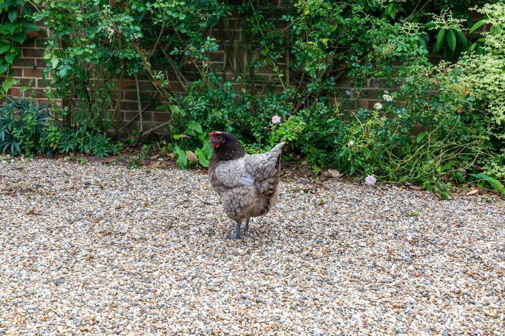 Photo of Outdoor in St Mary's Bay