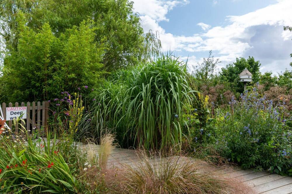 Photo of Outdoor in St Mary's Bay