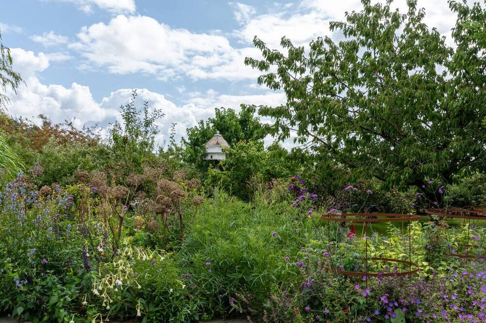 Photo of Outdoor in St Mary's Bay