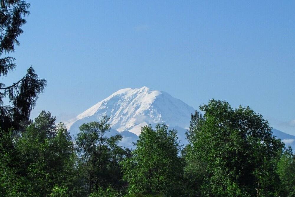 Photo of Others in Tacoma