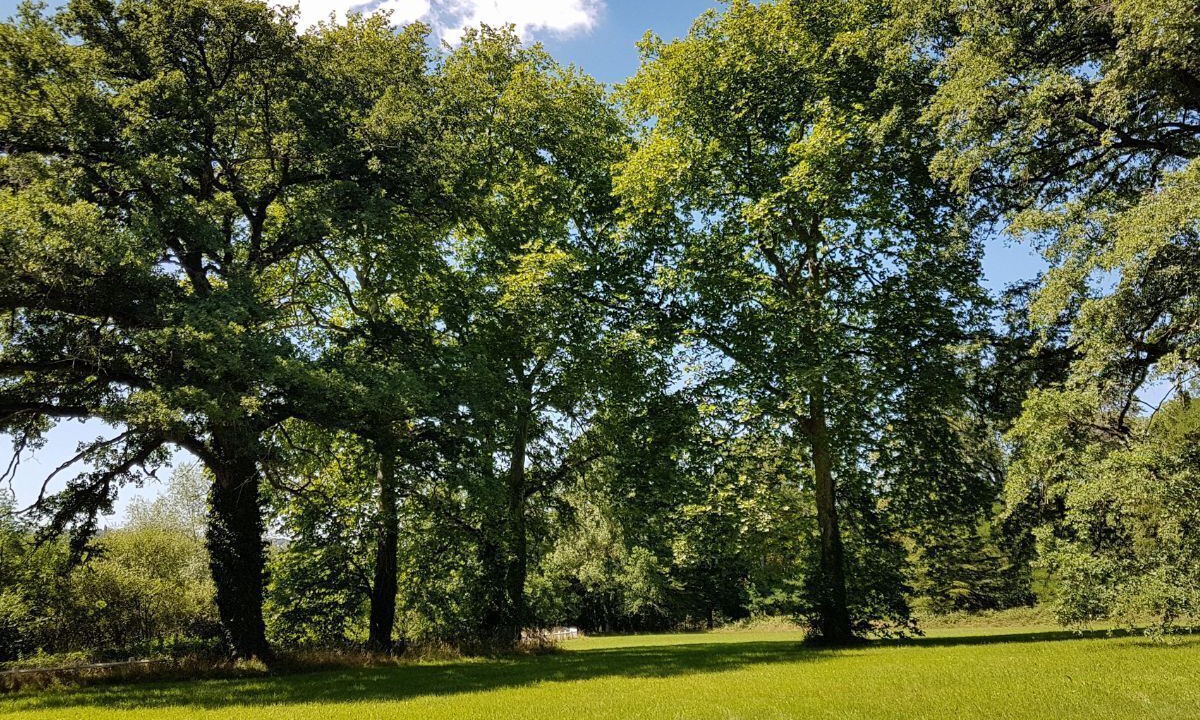 Photo of Outdoor in Cluis