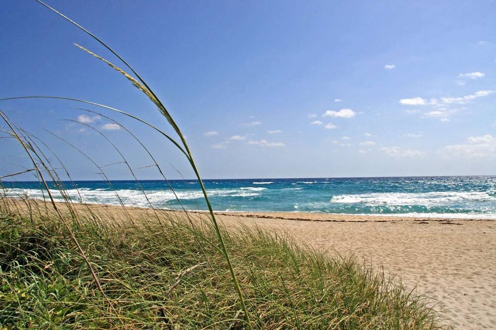 Photo of Others in West Palm Beach