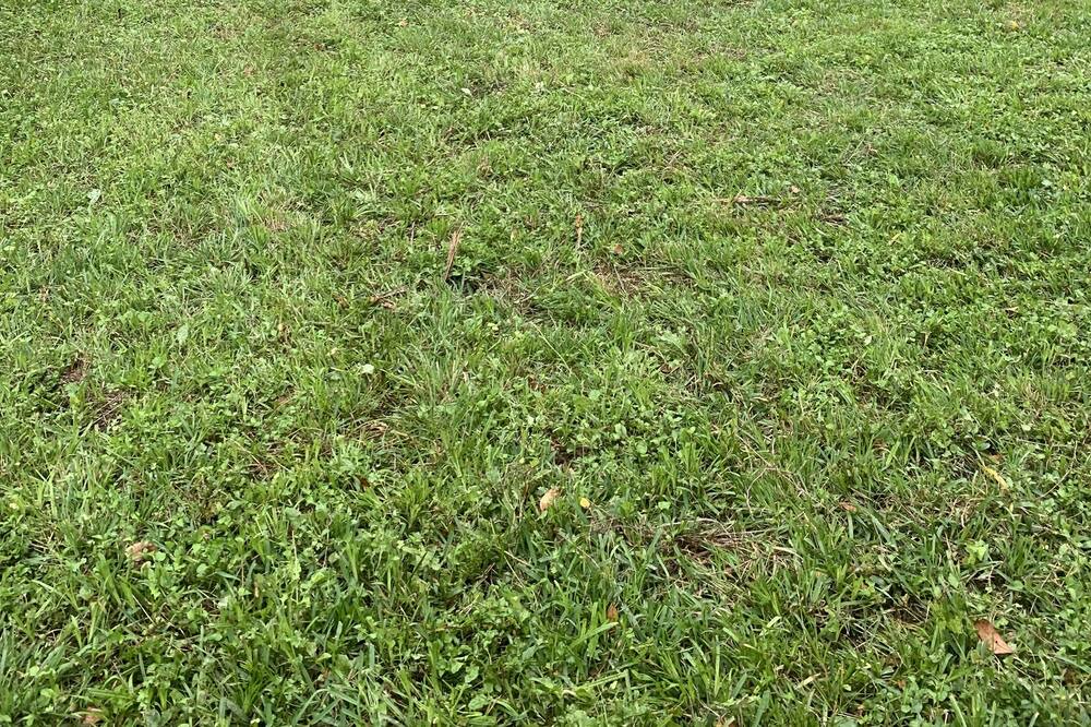 Photo of Outdoor in Columbus