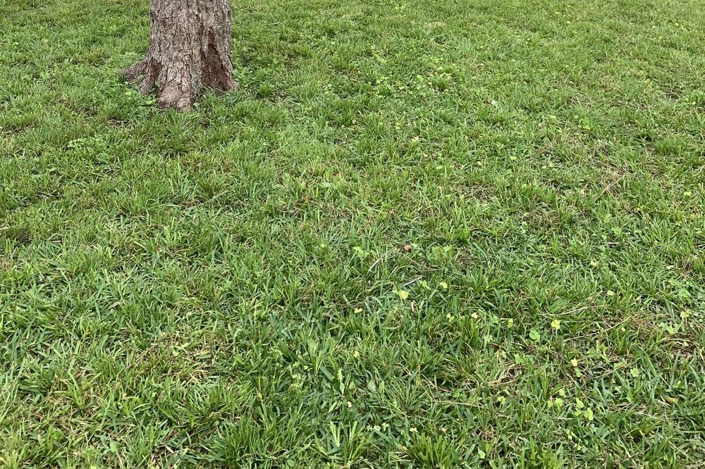 Photo of Outdoor in Columbus