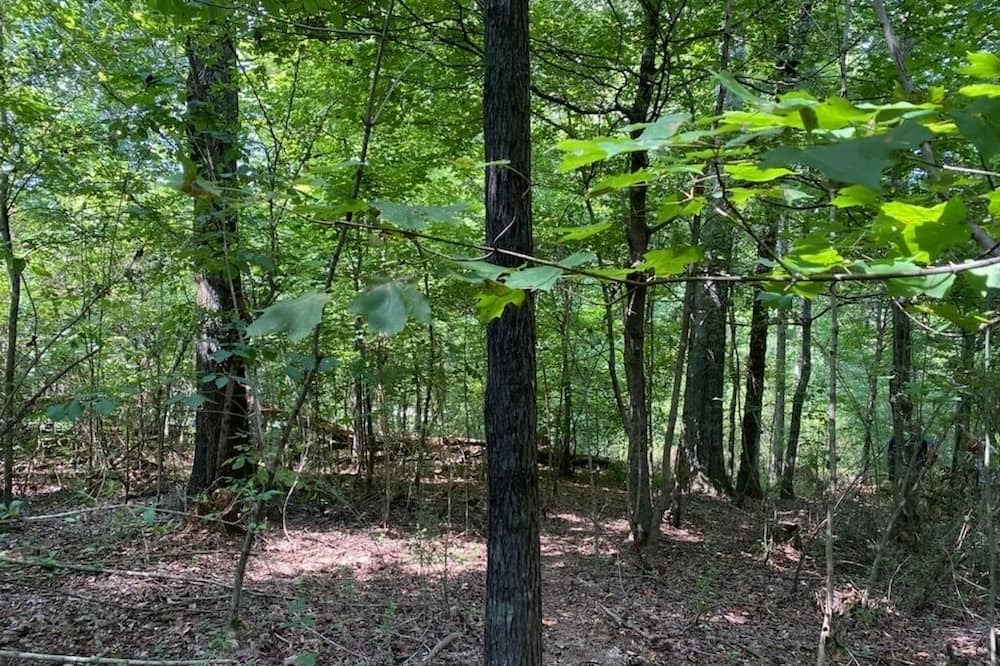 Photo of Outdoor in Madisonville