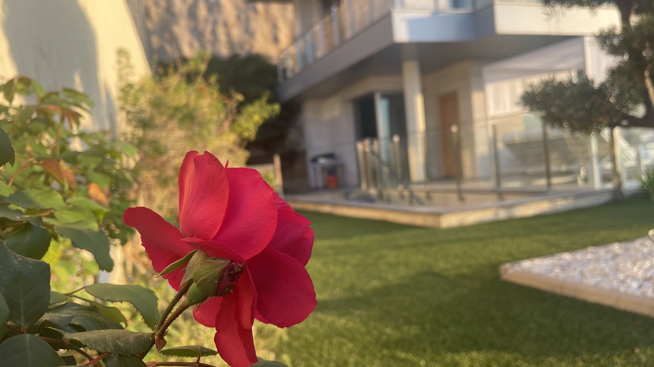 Photo of Outdoor in Golf Bahia