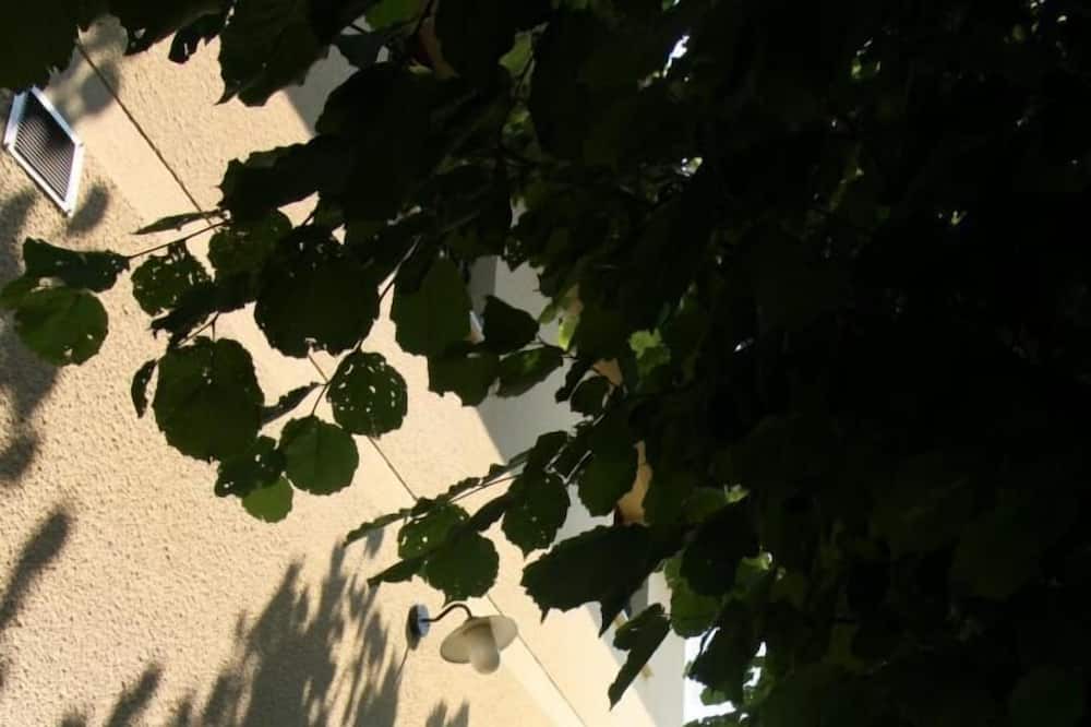 Photo of Outdoor in Blanquefort