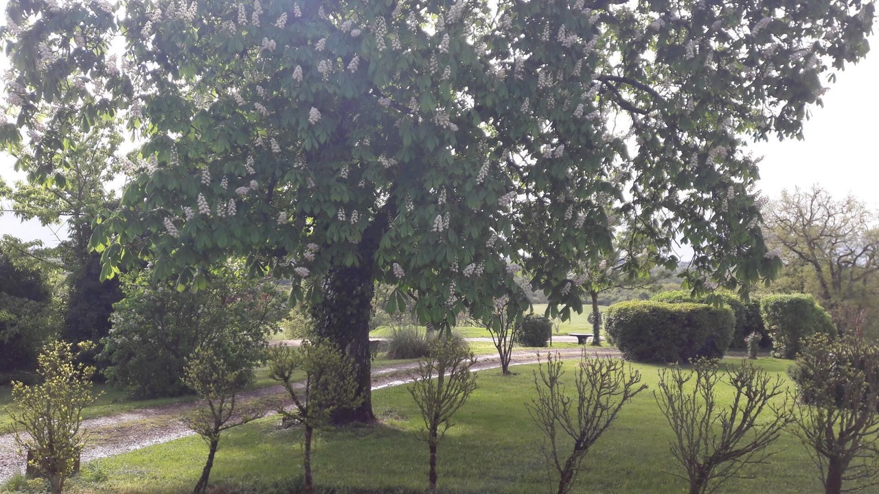 Photo of Others in Beychac-et-Caillau