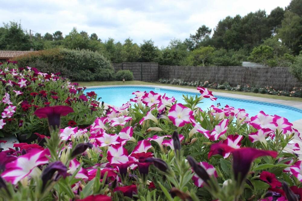 Photo of Outdoor in Sillas