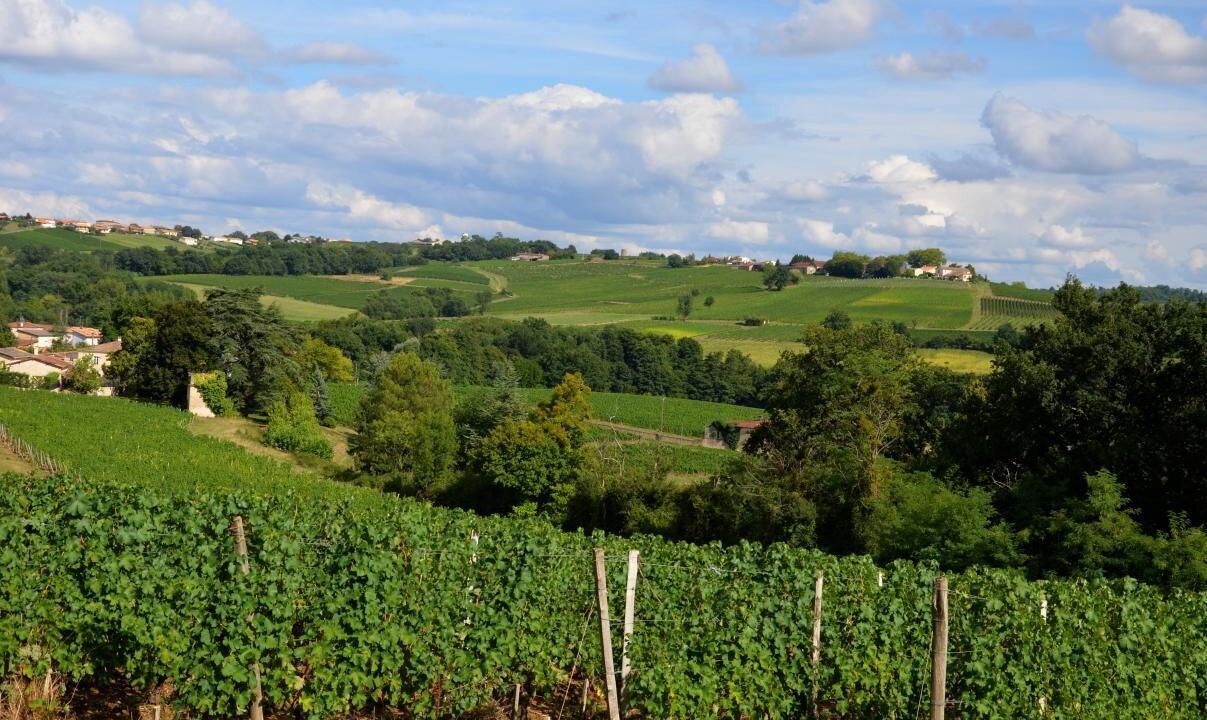 Photo of Outdoor in Laroque