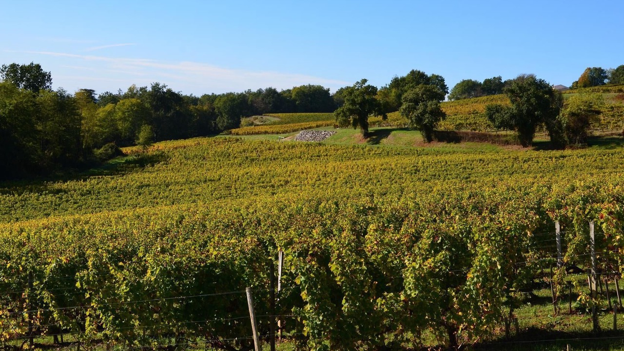 Photo of Others in Laroque