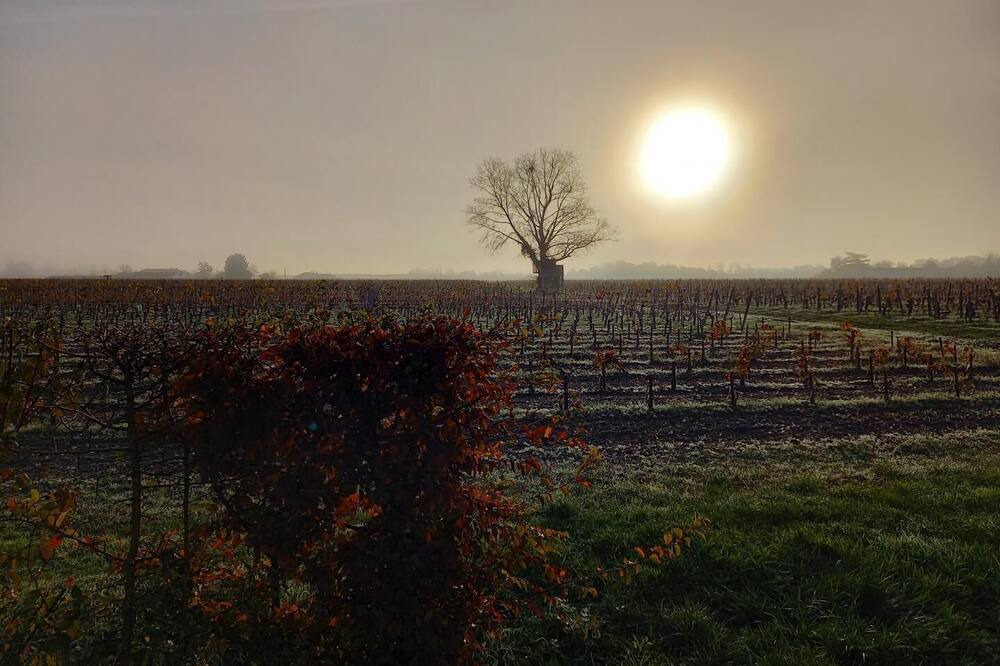 Photo of Outdoor in Pomerol