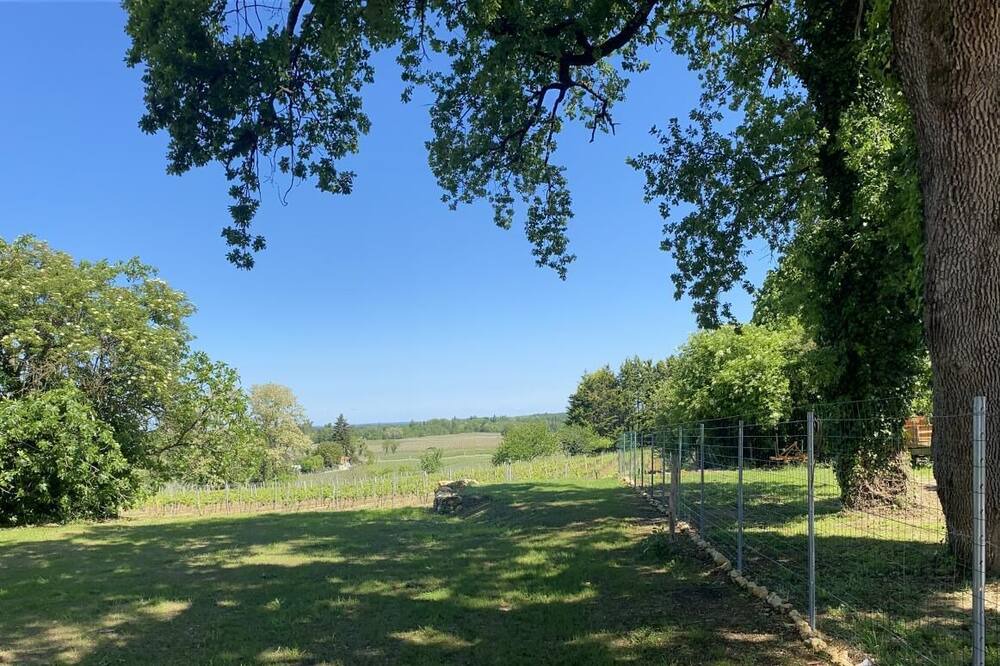 Photo of Outdoor in Lussac