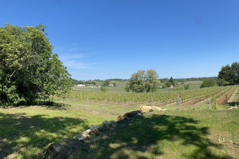 Photo of Others in Lussac