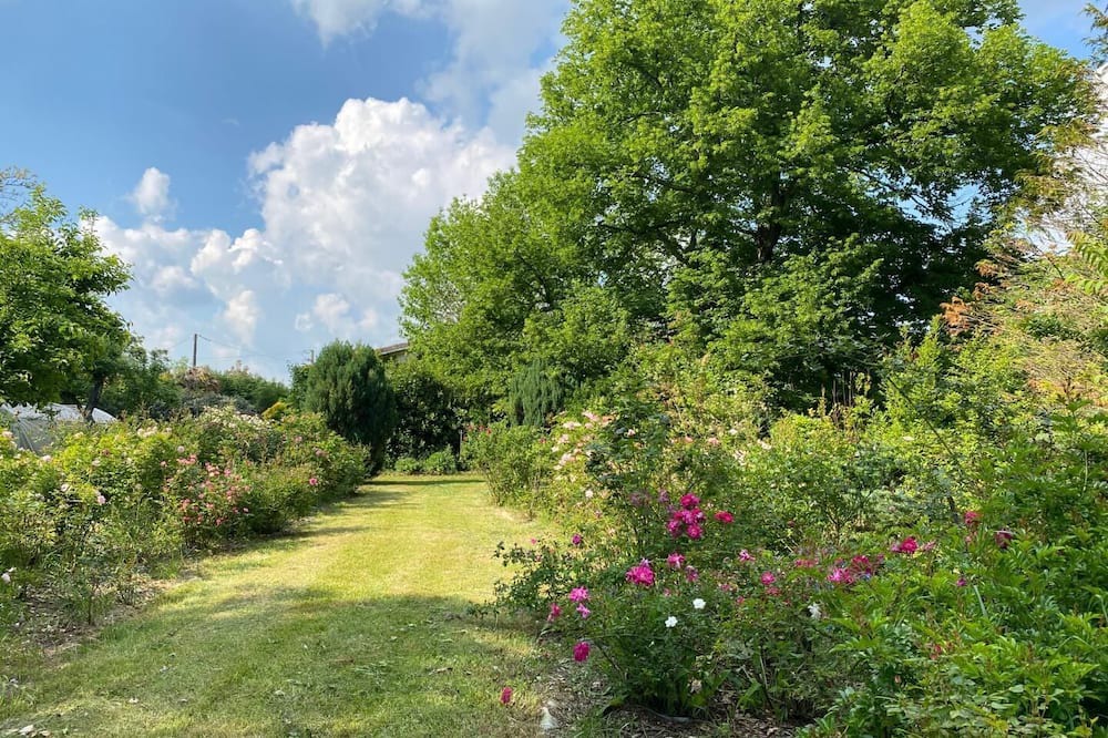 Photo of Outdoor in Civrac-de-Blaye