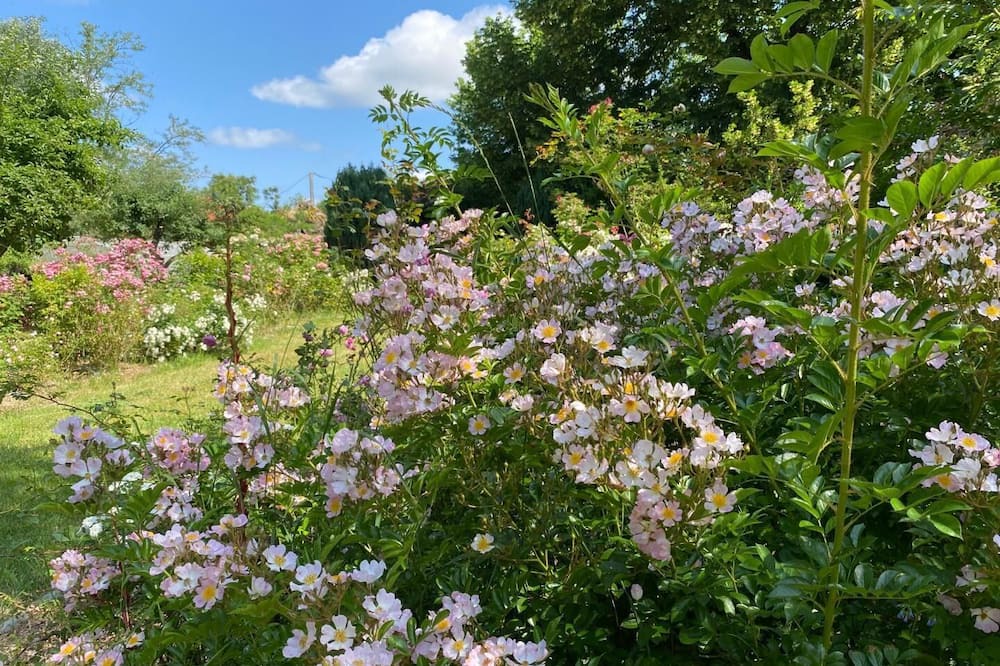 Photo of Outdoor in Civrac-de-Blaye