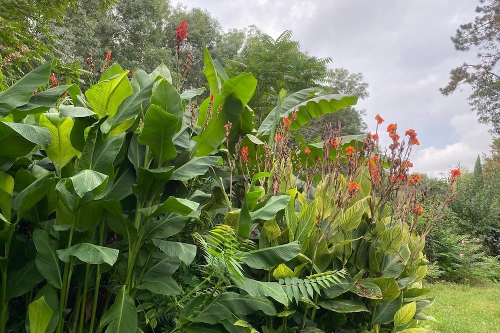 Photo of Outdoor in Civrac-de-Blaye