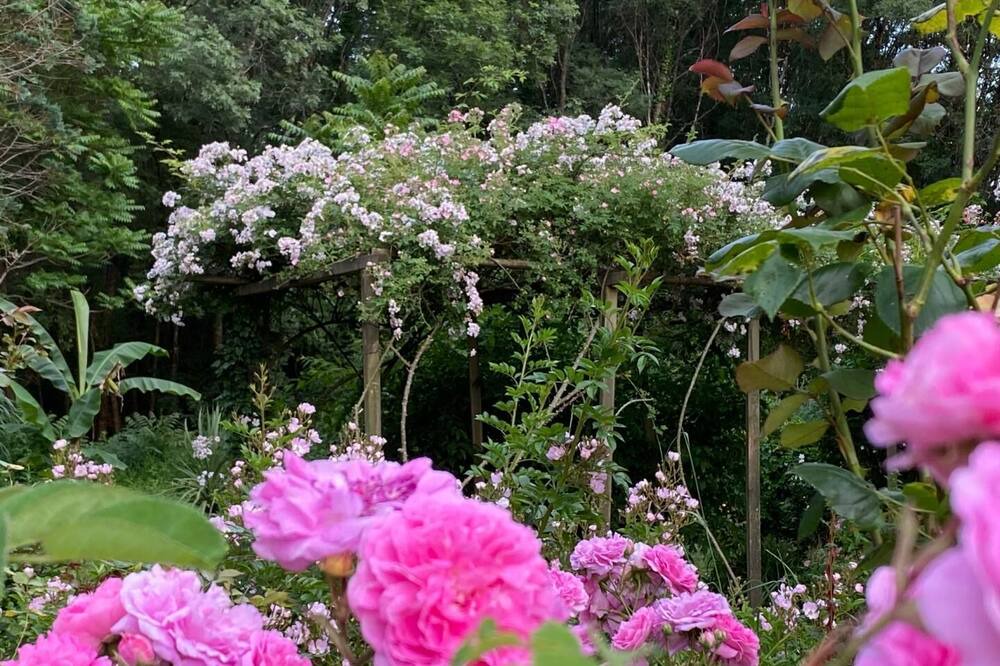 Photo of Outdoor in Civrac-de-Blaye