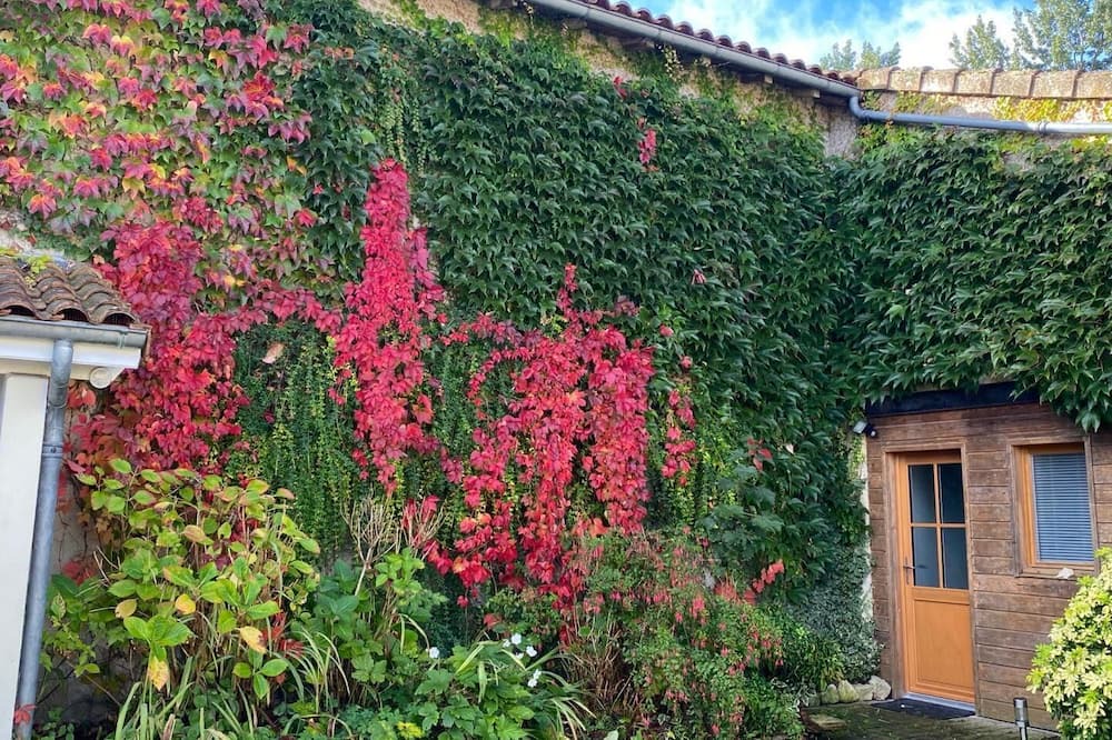 Photo of Outdoor in Civrac-de-Blaye