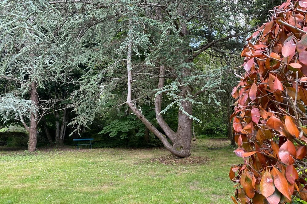 Photo of Outdoor in Civrac-de-Blaye