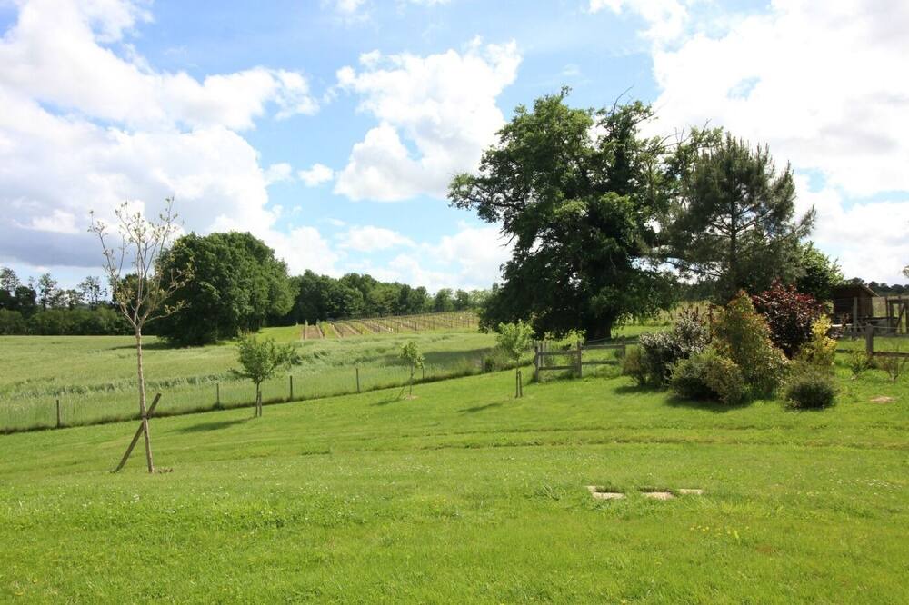 Photo of Others in Saint-Pierre-de-Bat