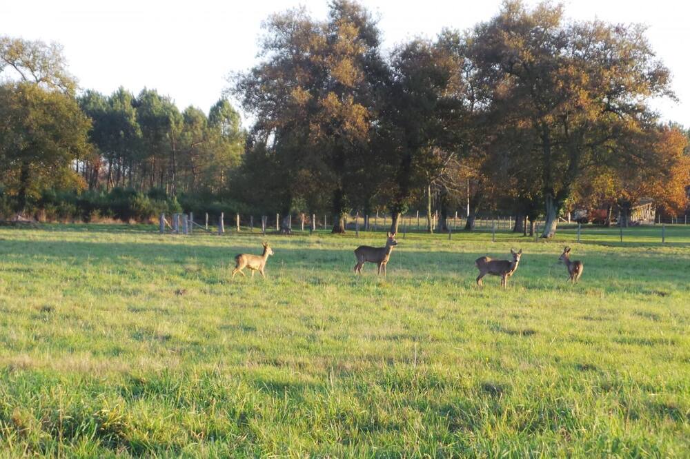 Photo of Others in Sainte-Helene