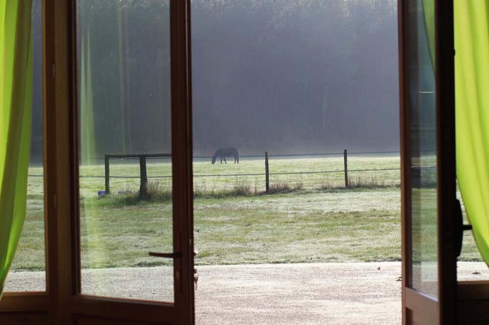 Photo of Others in Sainte-Helene