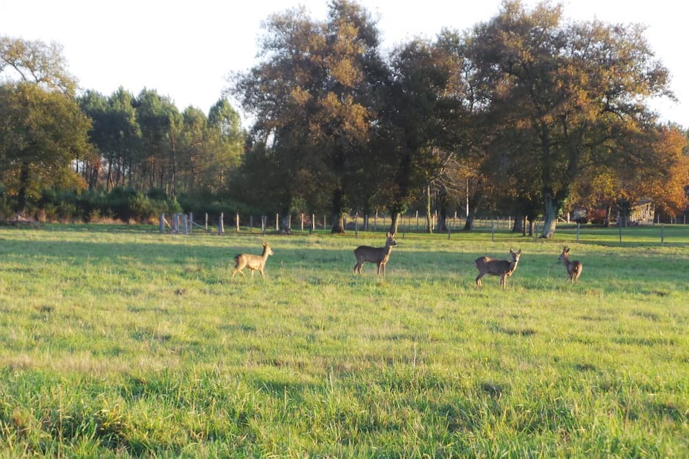 Photo of Others in Sainte-Helene