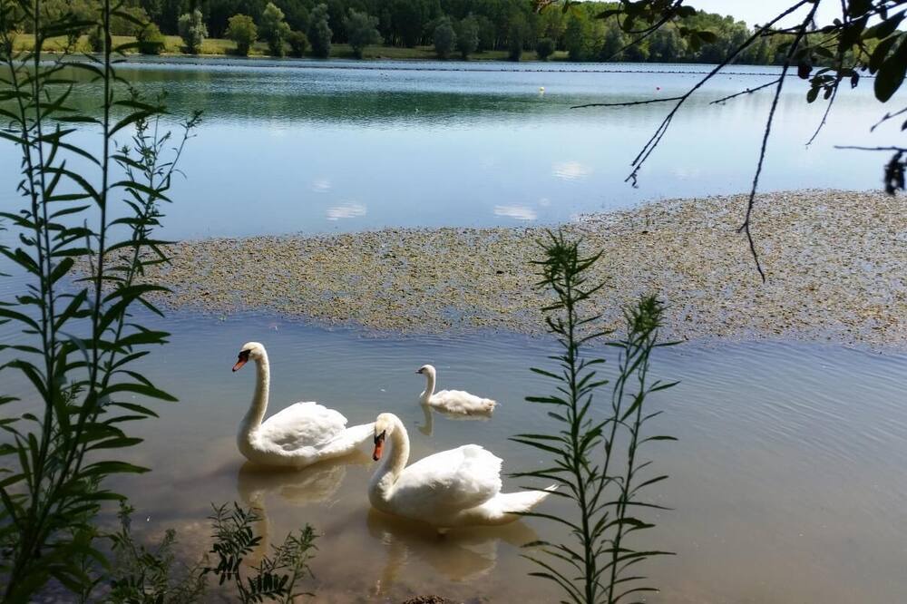 Photo of Others in Saint-Caprais-de-Bordeaux