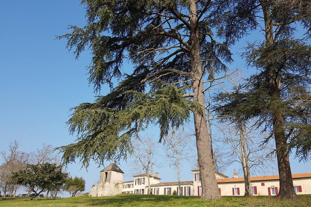 Photo of Outdoor in Laroque