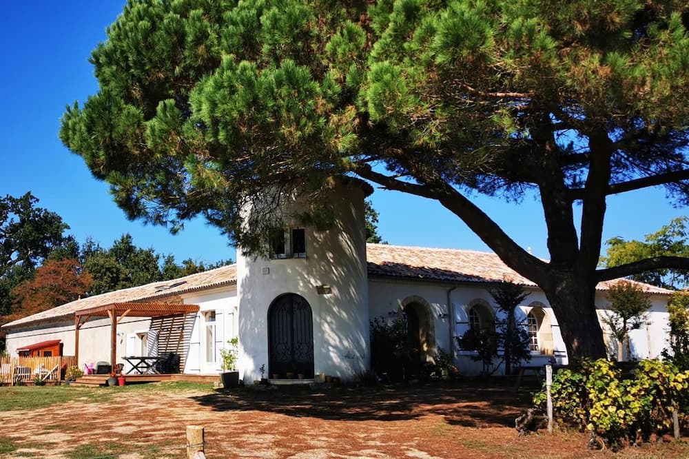 Photo of Outdoor in Sauternes