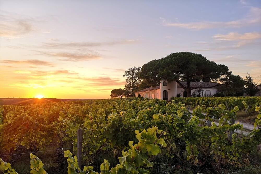Photo of Others in Sauternes