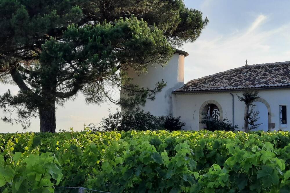 Photo of Outdoor in Sauternes