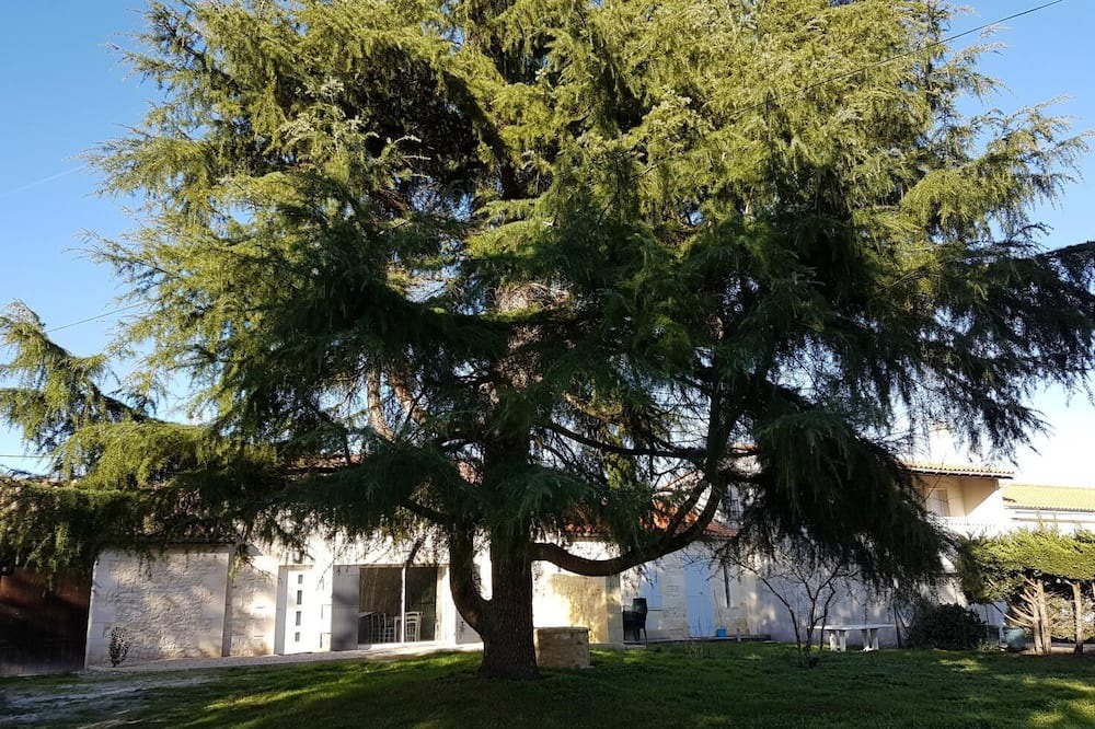 Photo of Outdoor in Arcins