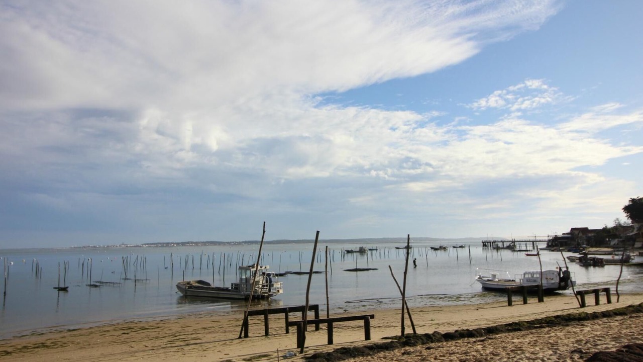 Photo of Others in Le Canon