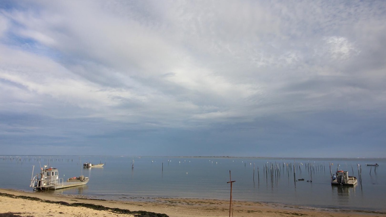 Photo of Others in Le Canon