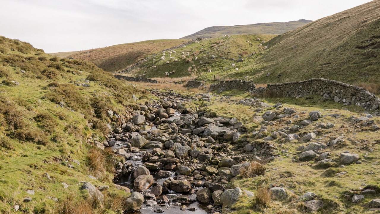 Photo of Others in Gosforth