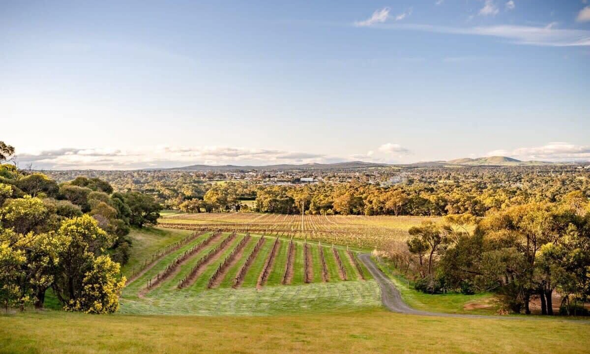 Photo of Others in Ararat